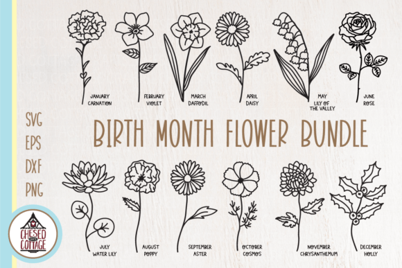 Download Birth Month Flower Bundle - Flower bundle Collection