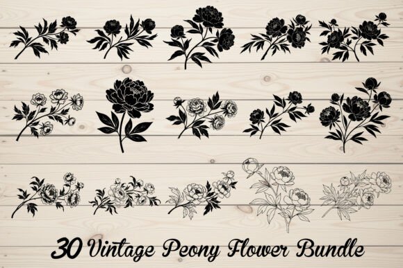 Download 30 Vintage Peony Flower Bundle - Flower bundle Collection